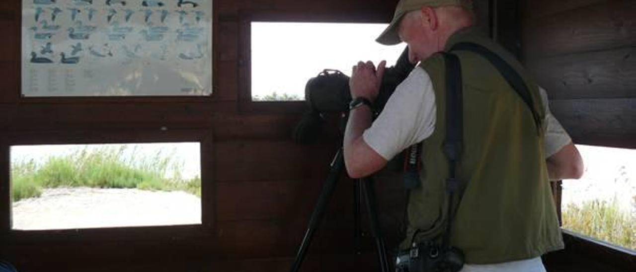 Gran Bretaña sitúa a Cullera como un destino aconsejable    para el turismo ornitológico