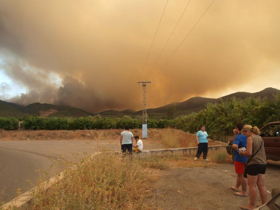 Incendio forestal en Artana