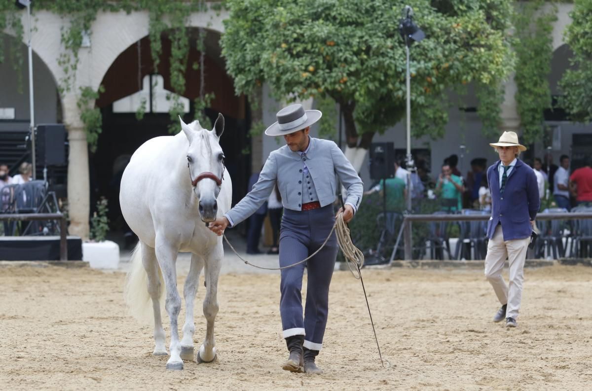 Calbalcor abre sus puertas