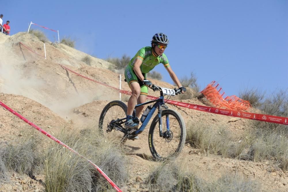 Mountain bike en Molina de Segura