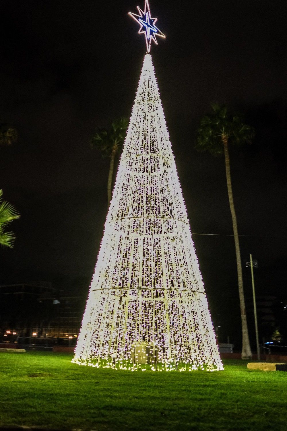 Encendido navideño en la Plaza de Santa Ana