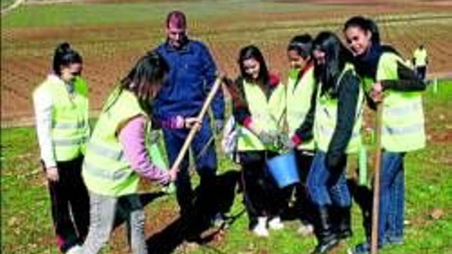 Estudiantes y mayores plantan unos 400 árboles