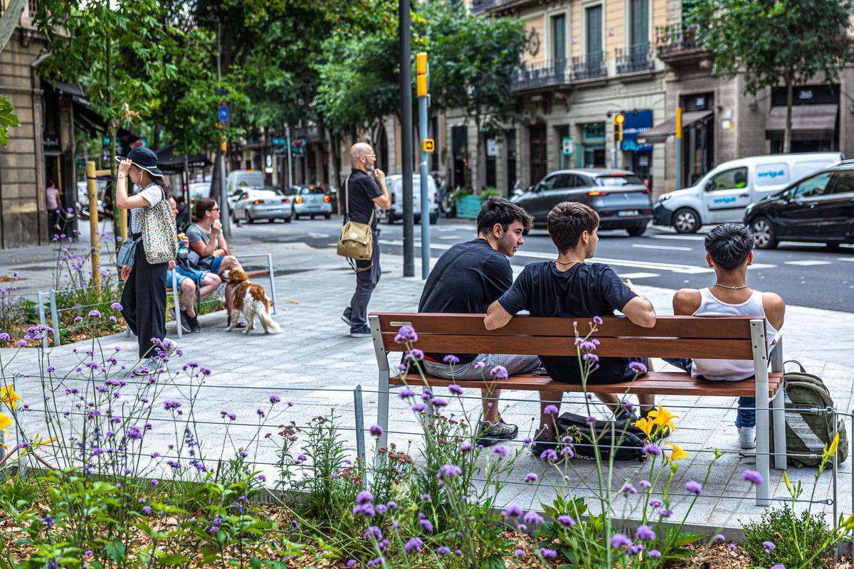 Escenas inesperadas de la Superilla del Eixample