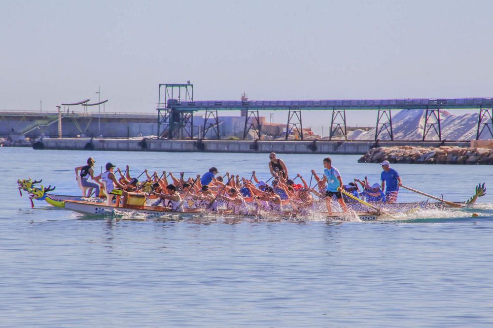 Lo dragones toman la bahía de Torrevieja