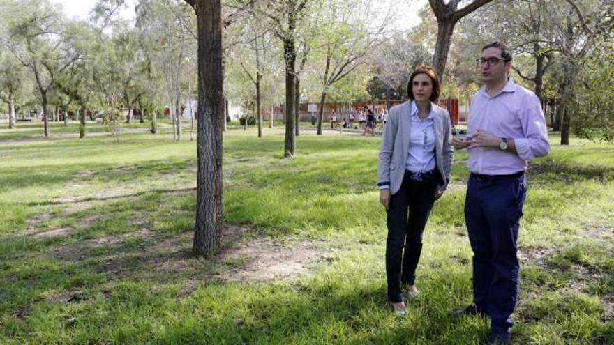 Reabre la pinada de la Canaleta tras replantar cien árboles