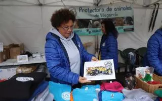 Un calendario de héroes