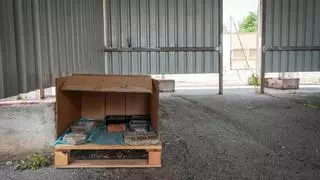 El Hospital Materno Infantil de Badajoz ha tenido que desinfectar salas por la presencia de gatos en el interior
