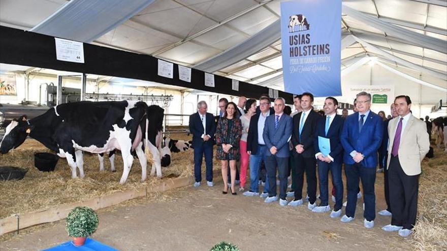 Destacan el relevo generacional en los ganaderos de vacuno de la zona