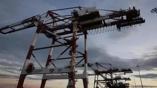 Port de Barcelona prepara ya los terrenos para los accesos ferroviarios