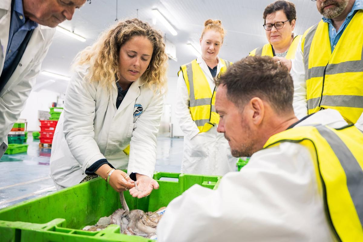 El ministro de Pesca de Reino Unido, Stephen Morgan, observando uno de los pulpos capturados en Newlyn.