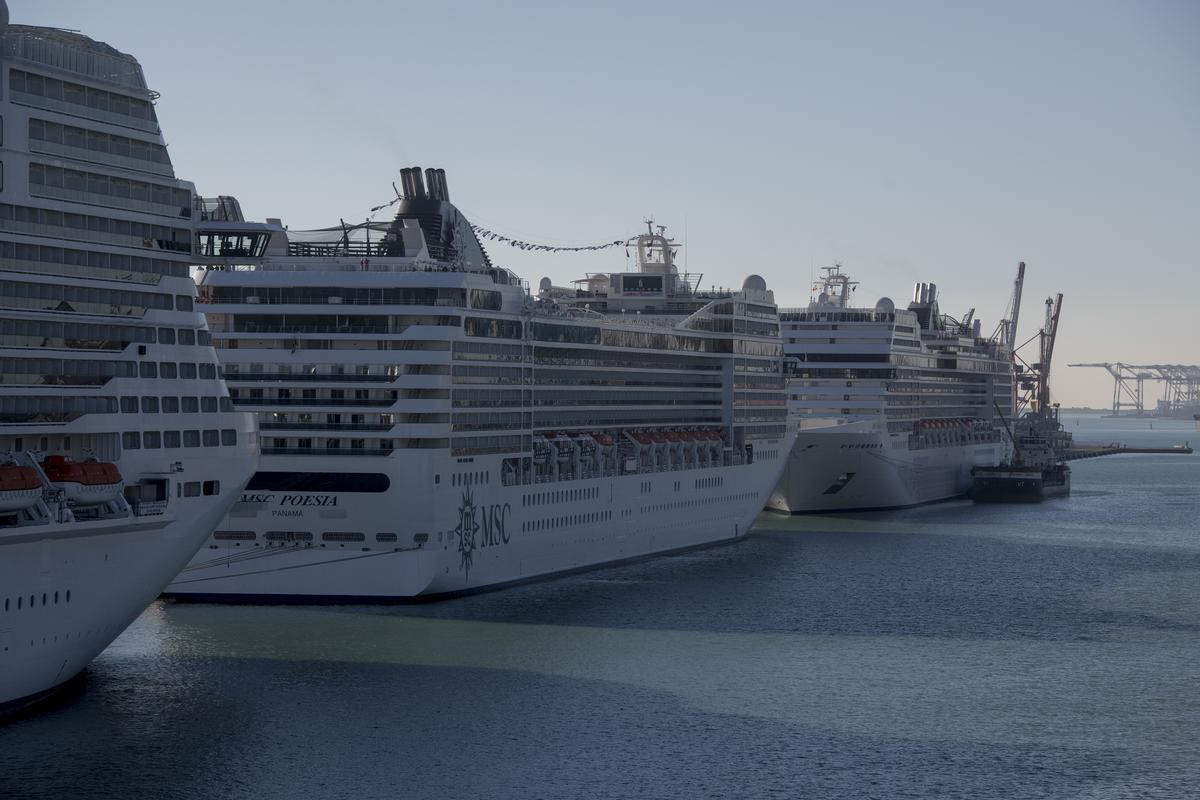 Varios cruceros de la empresa MSC atracados en Barcelona.