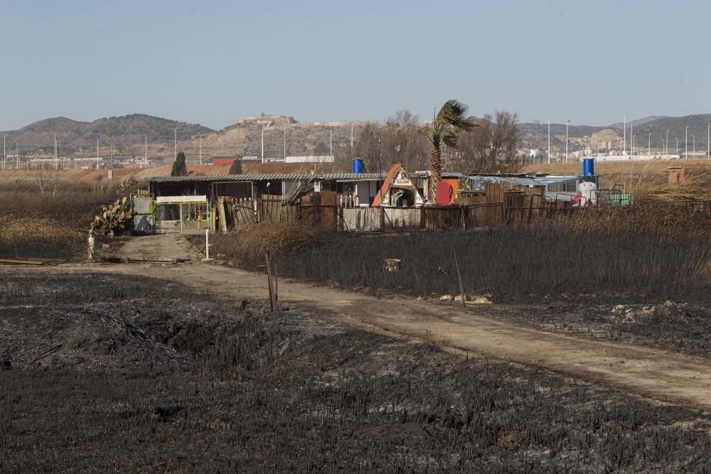 La Marjal dels Moros tras el incendio