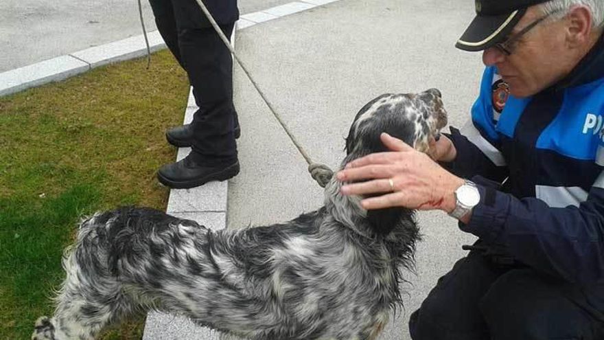 El agente de la Policía Local Félix Fernández, con sangre en la mano, tras rescatar al perro del río Nalón en Trubia en febrero de 2015.