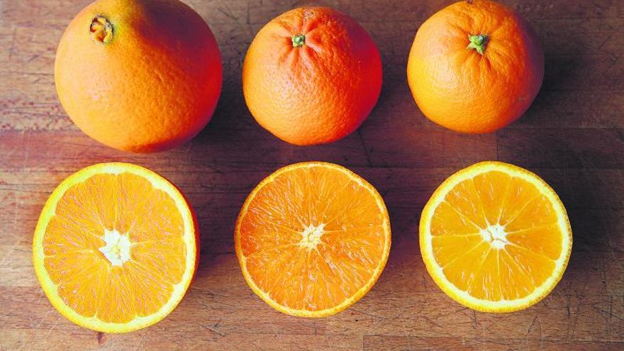 Warum die Orangen von Mallorca gerade jetzt so zuckersüß sind