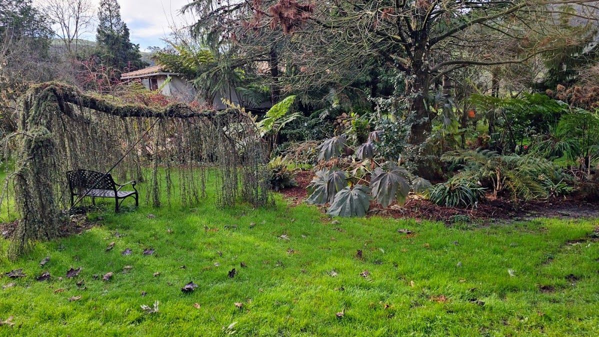 De paseo por el vergel de San Justo, en Villaviciosa