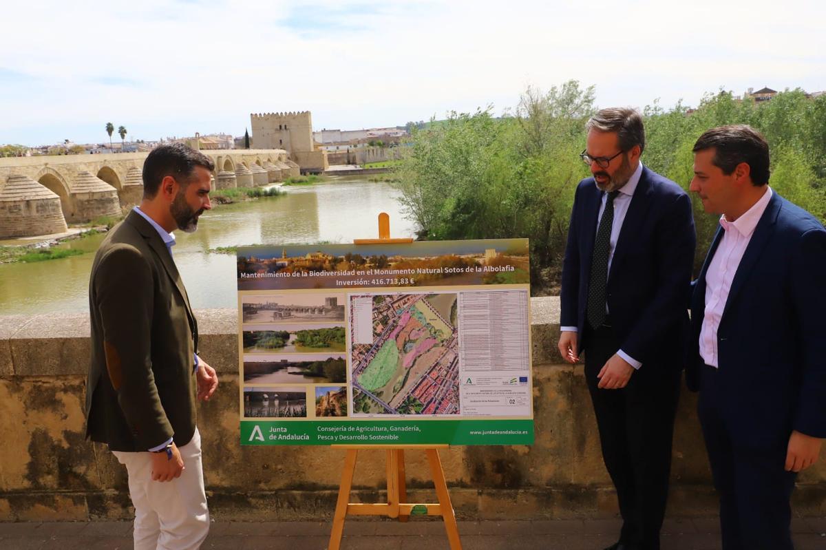 Fernández-Pacheco, Adolfo Molina y Bellido, con el proyecto.