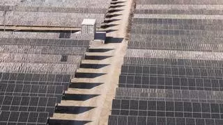 El Ayuntamiento de Elche niega que se vaya a paralizar plantas solares en trámite tras las críticas de las renovables