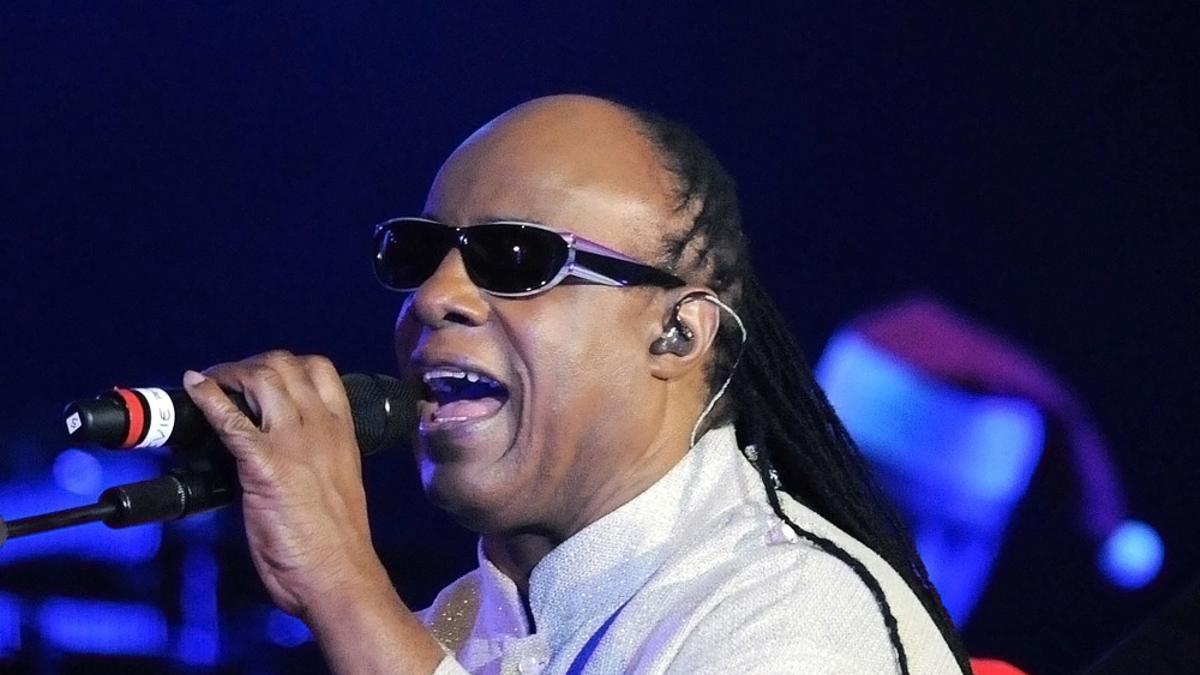 Una actuación de Stevie Wonder.