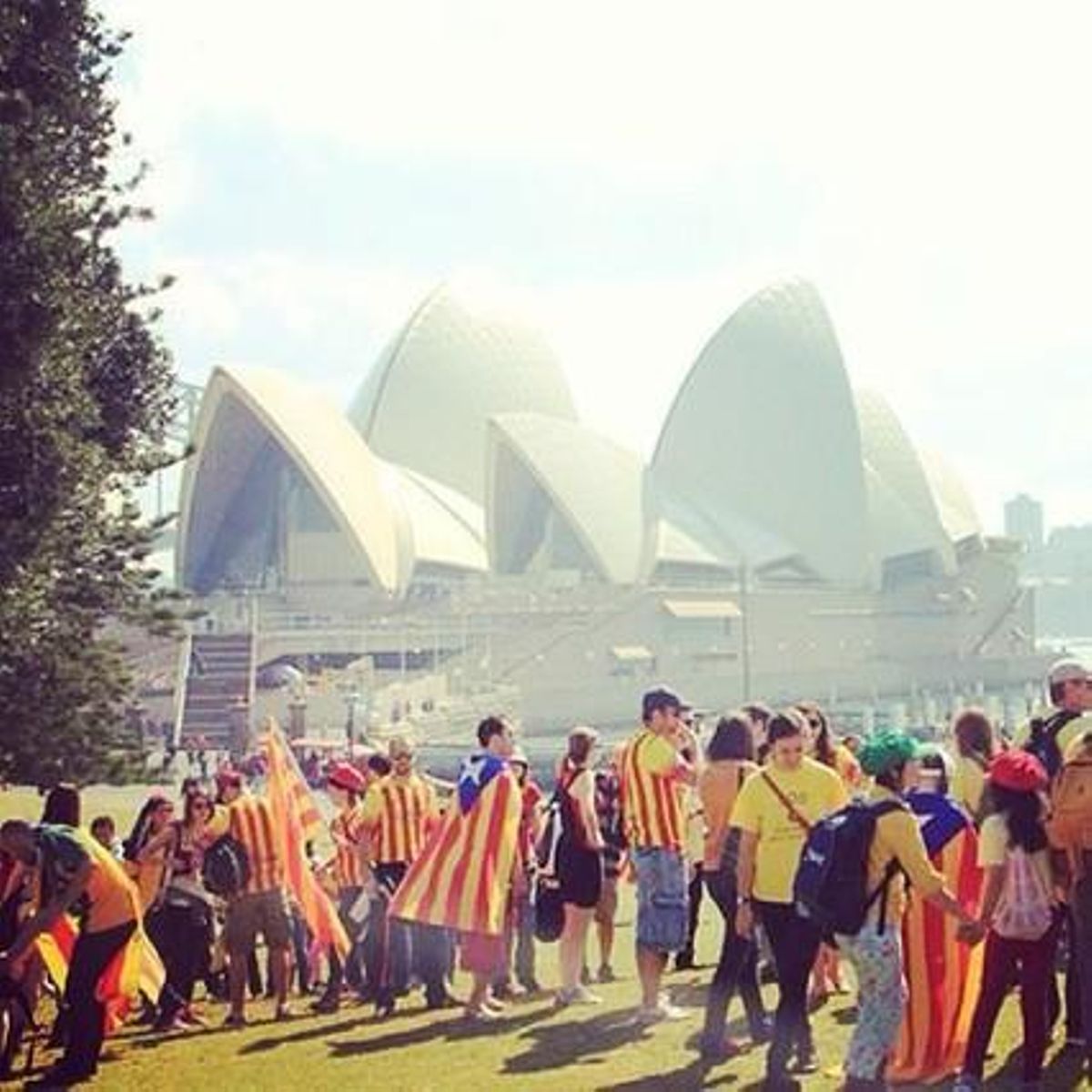 Via Catalana a Sidney