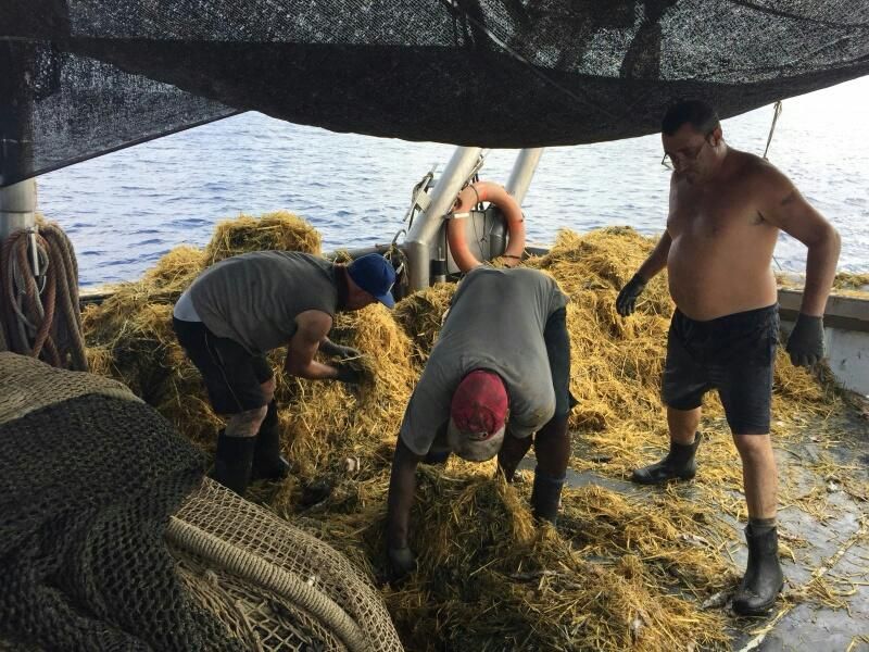 Fischer holen Strohballen aus dem Meer