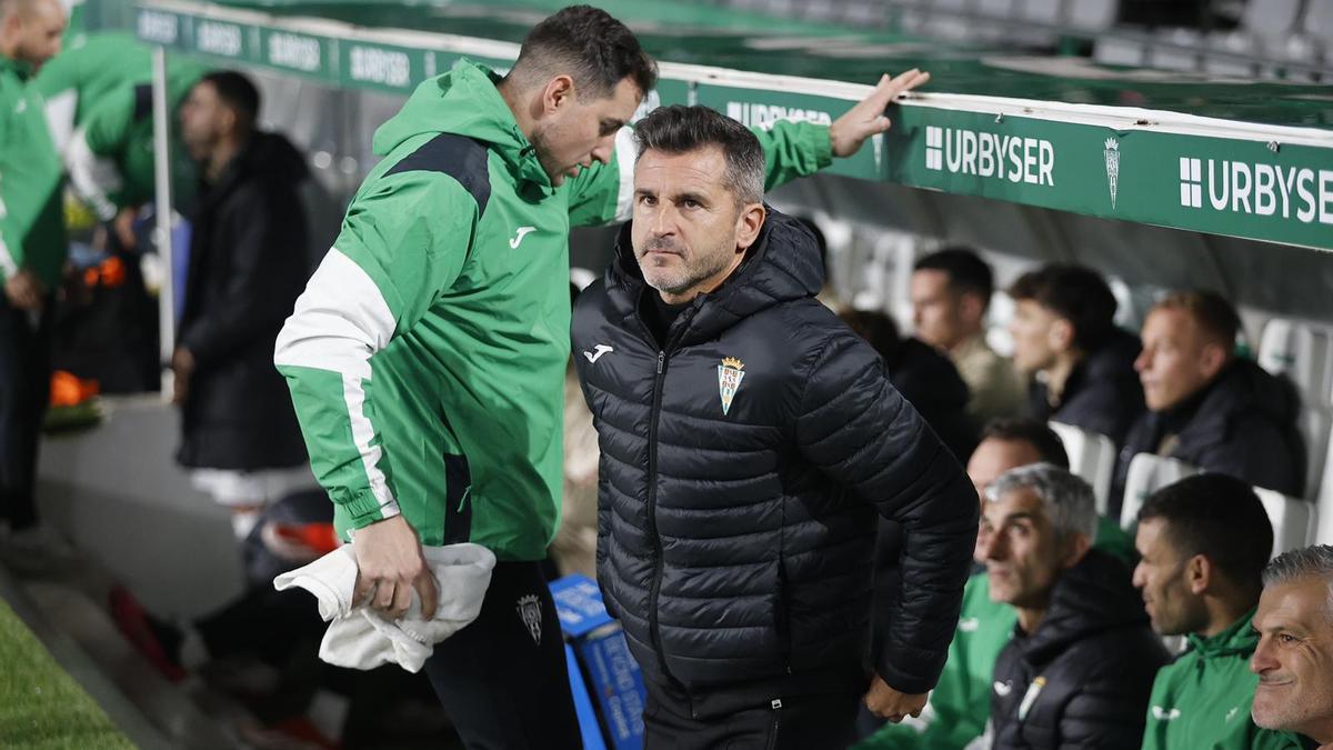 iván Ania durante el encuentro entre el Córdoba CF y el Burgos en El Arcángel.