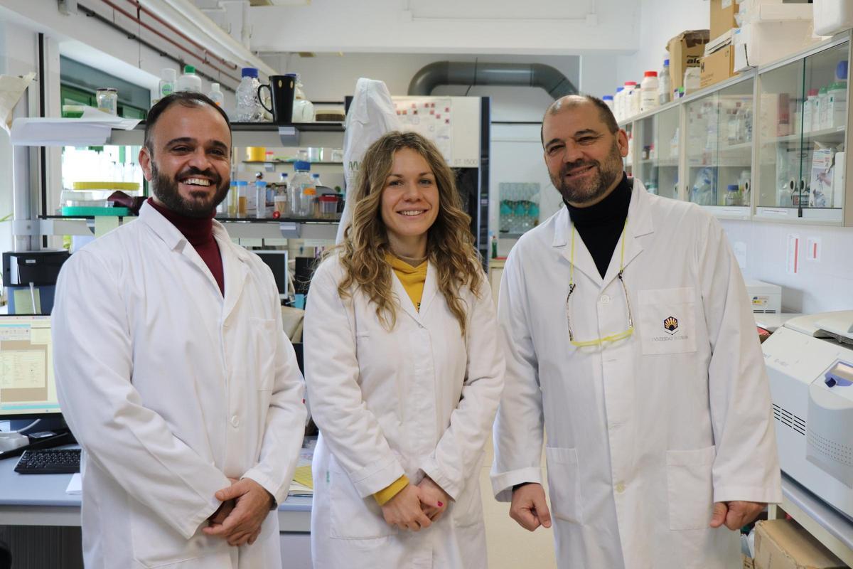 Enrique Quesada, Flora Moreno y Pablo Valverde, investigadores de la UCO.