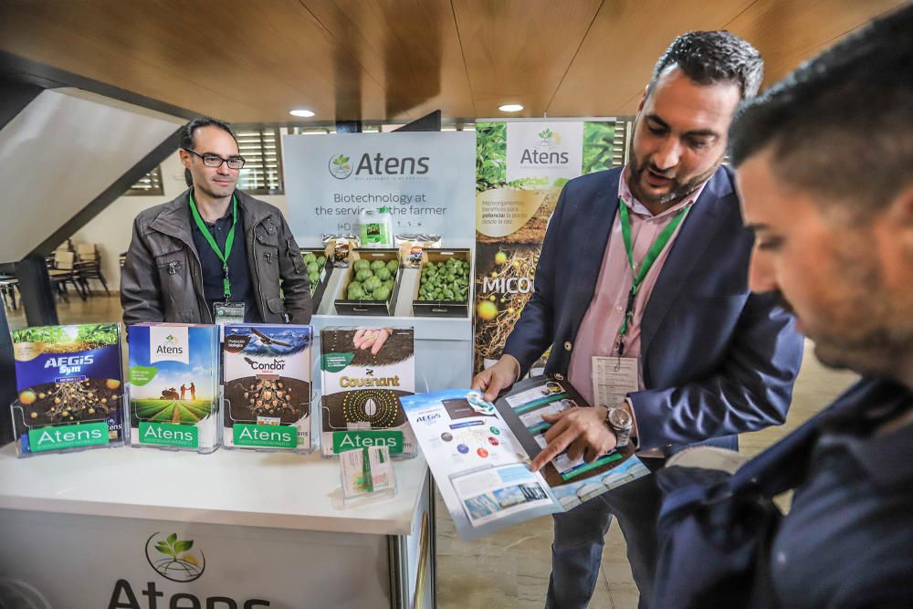 Orihuela acoge hasta el viernes el X Simposio Internacional de la Alcachofa con ponencias, stands y los mayores expertos en este cultivo estrella en la Vega Baja.