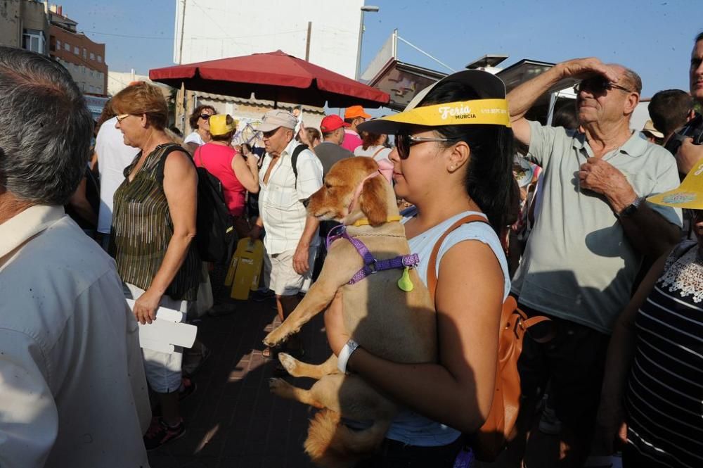 Romería de la Virgen de la Fuensanta: Paso por San