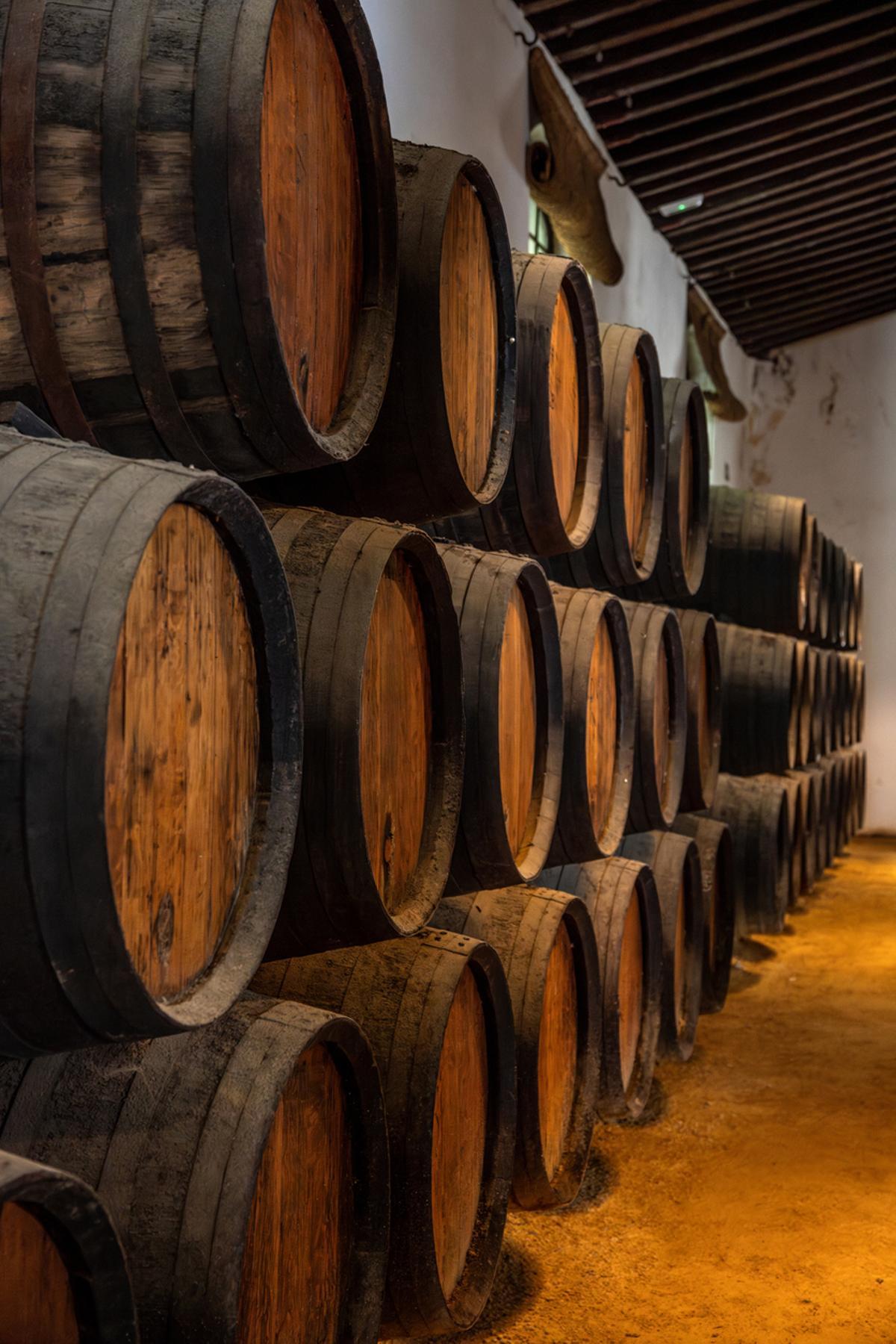 Barricas de madera apiladas en una bodega rústica con suelo de tierra para la crianza de vinos o licores