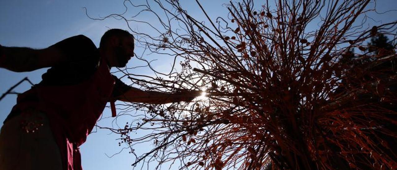 Imagen de archivo de una de las guerrillas florales organizadas por Flor Motion en Córdoba.