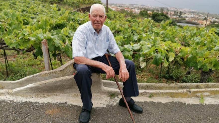 Victoriano Hernández Trujillo, a los 98 años de edad, junto a unas viñas en el municipio de La Orotava.