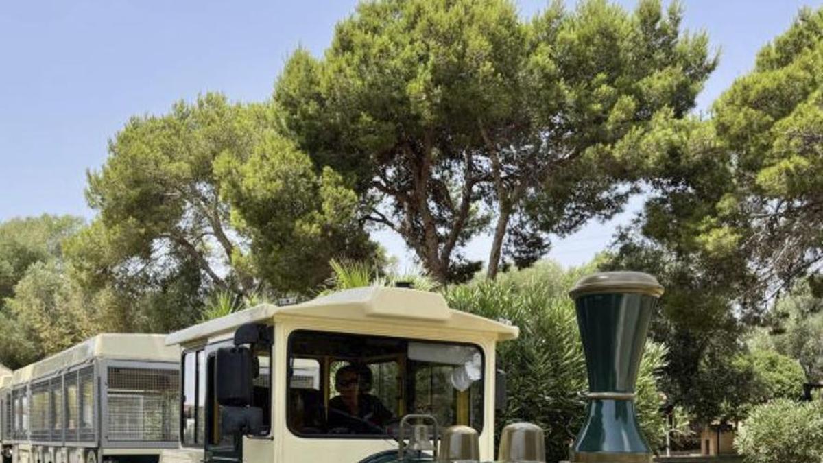 El recorrido por el recinto se realiza en un tren híbrido.