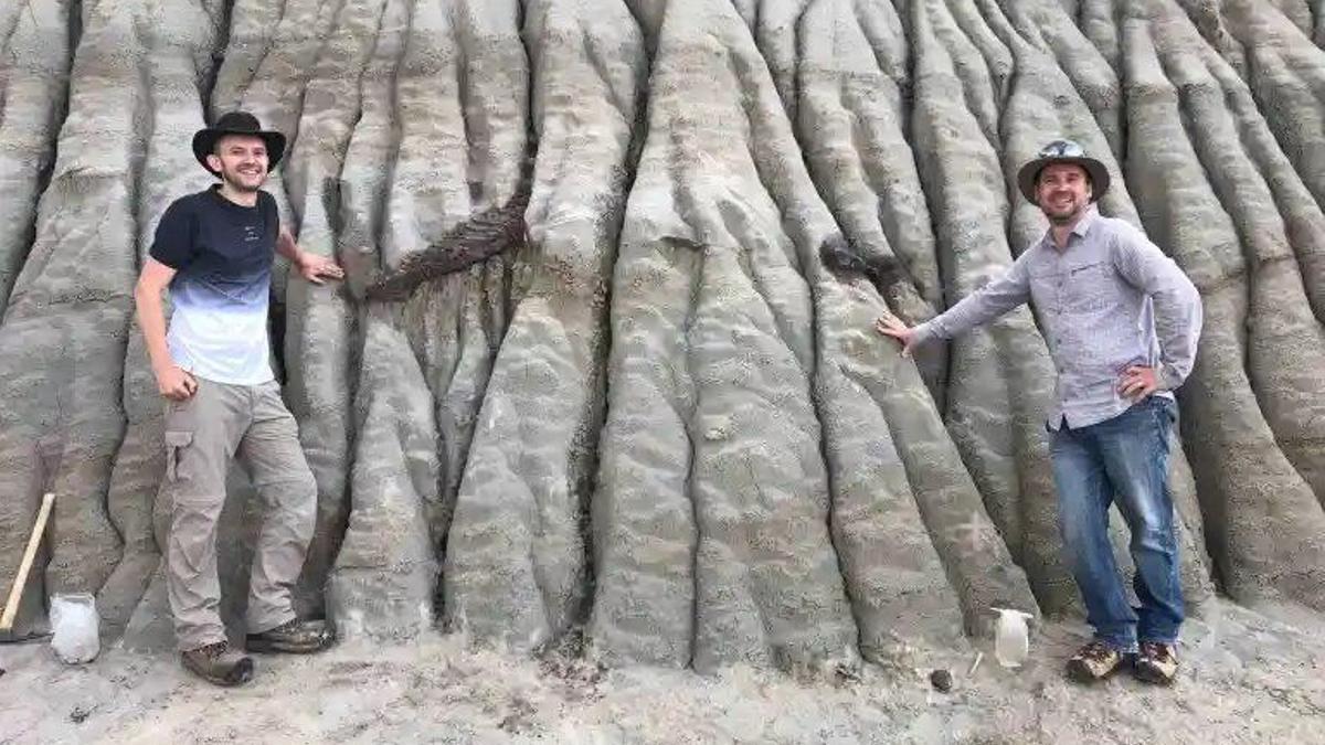 Los investigadores Brian Pickles y Caleb Brown, junto a los fósiles expuestos de un dinosaurio juvenil con pico de pato en el Dinosaur Provincial Park, Alberta.