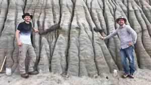 Los investigadores Brian Pickles y Caleb Brown, junto a los fósiles expuestos de un dinosaurio juvenil con pico de pato en el Dinosaur Provincial Park, Alberta.