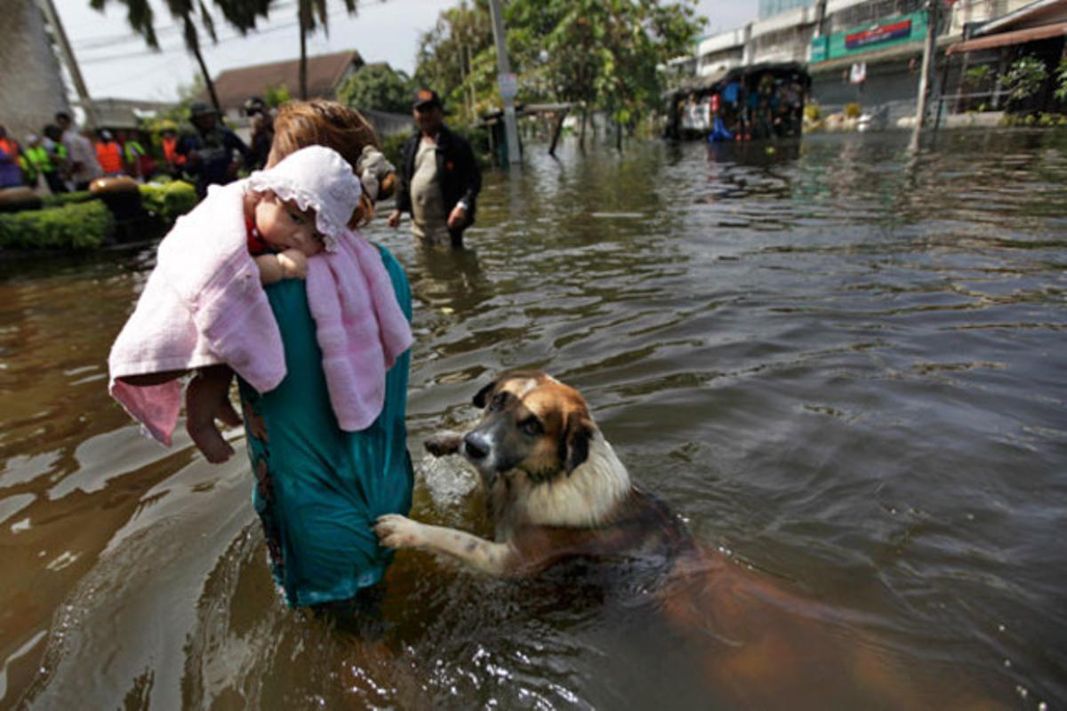 Una dona es dirigeix al lloc on els soldats distribueixen menjar a la població en un barri inundat de Bangkok (Tailàndia).
