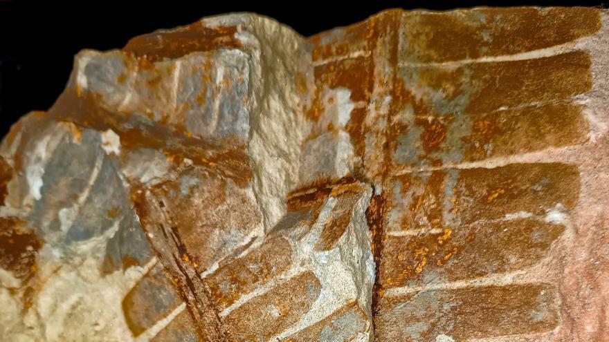 Hallan fósiles anteriores a los dinosaurios en cuatro yacimientos de la provincia de Alicante