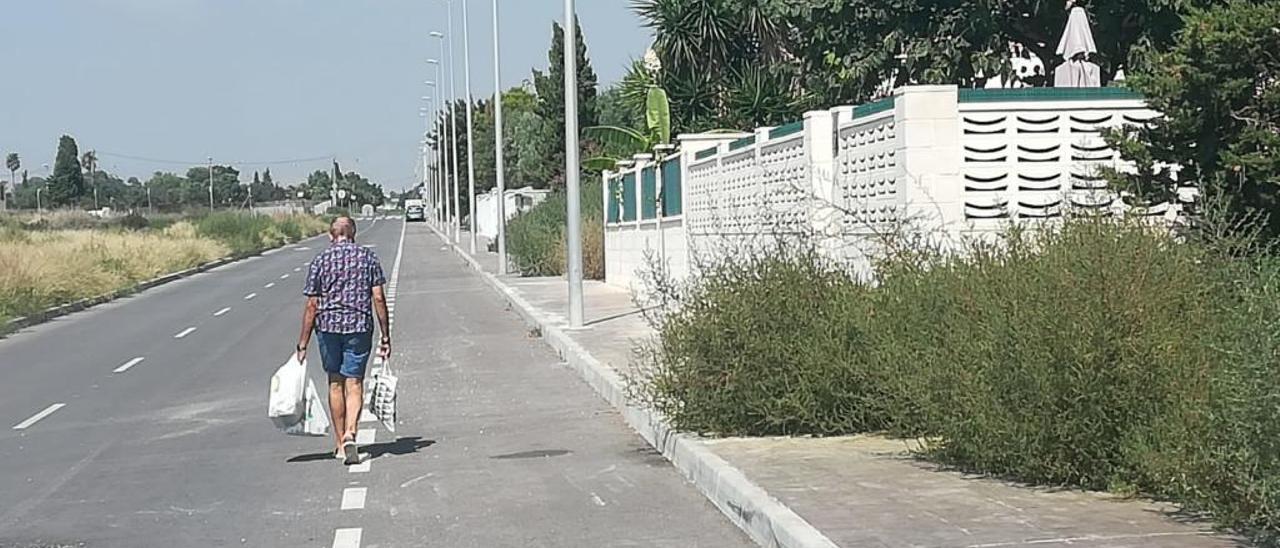 Un peatón se ve obligado a caminar por la calzada debido al crecimiento desmesurado de la vegetación en la acera.