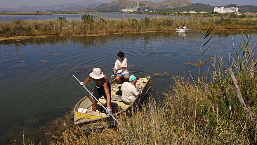 El Govern excluye de s’Albufera una finca donde Endesa proyecta un parque solar