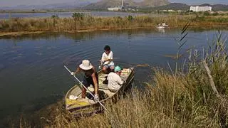 El Govern excluye de s’Albufera una finca donde Endesa proyecta un parque solar