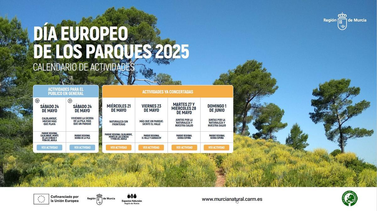 Calendario de actividades