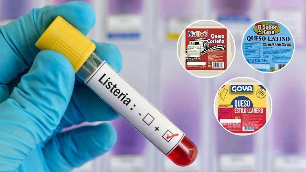Los quesos son envasados en plástico y requieren de frío para su conservación.