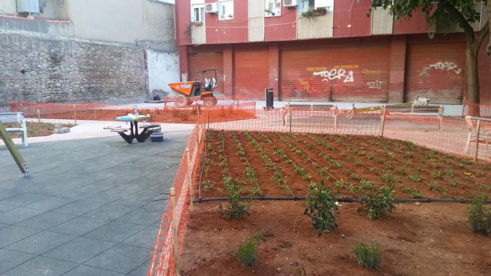 Nueva zona verde en la calle Pepita Samper