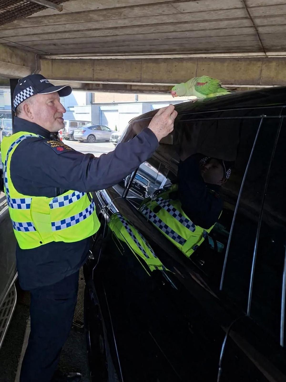 Un agent de la policia de l'aeroport de Dublín amb la 'Lola'