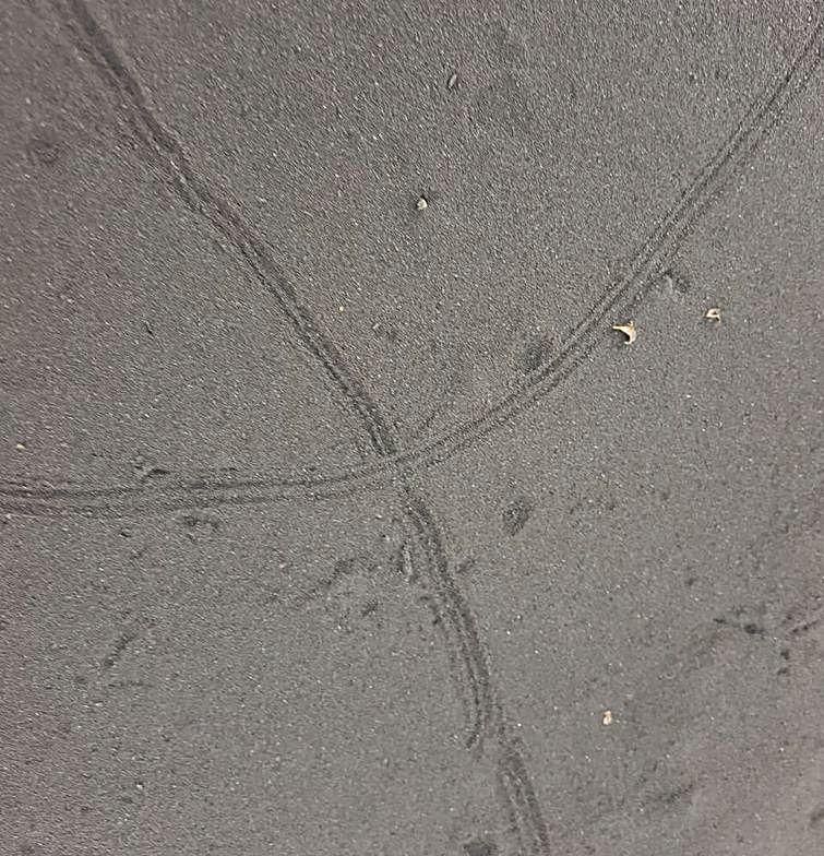 Milpiés