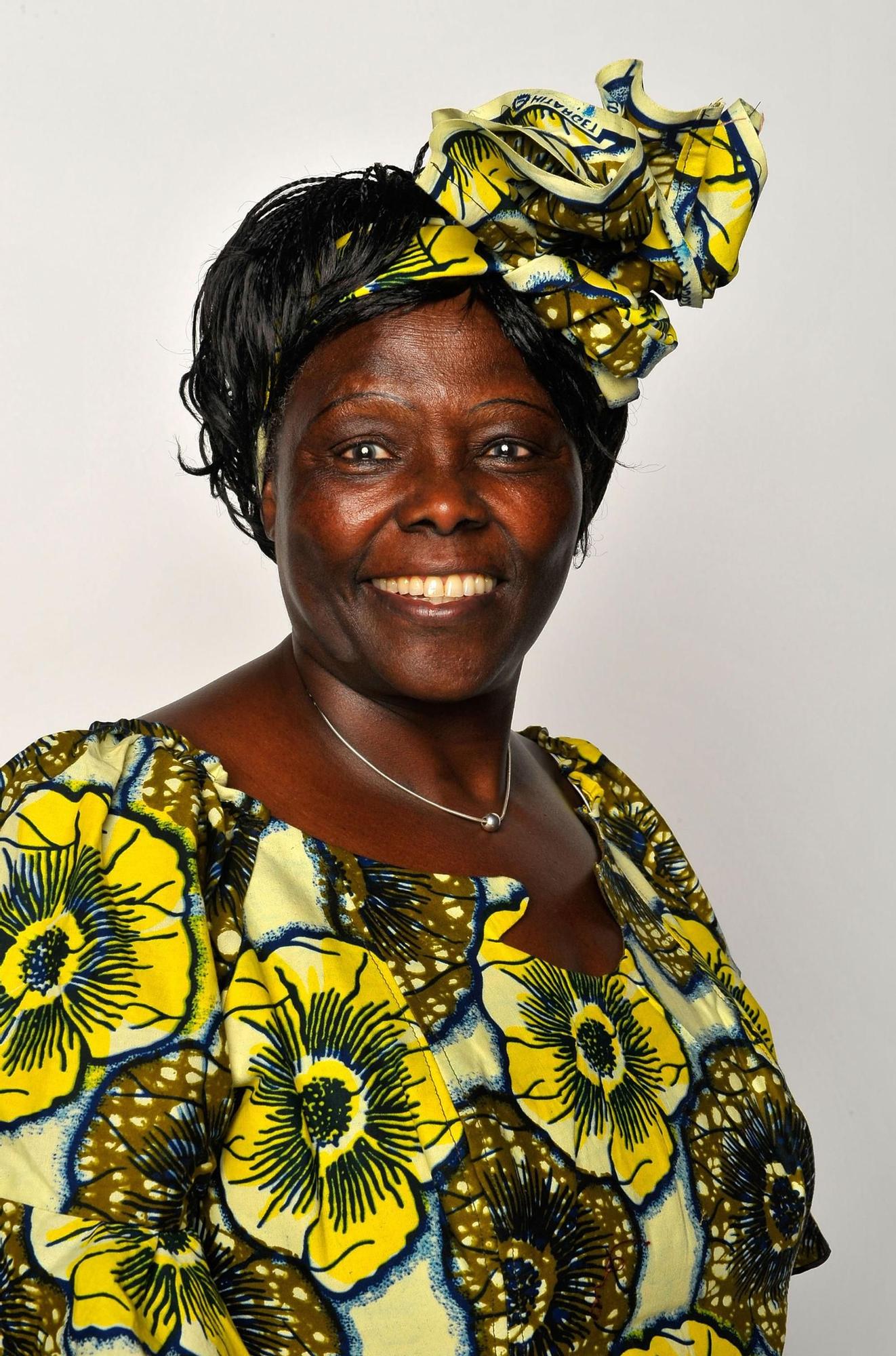 Wangari Maathai, activista medioambiental