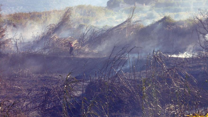 Un incendio calcina una hectárea y media de cañaveral del lecho del río Girona