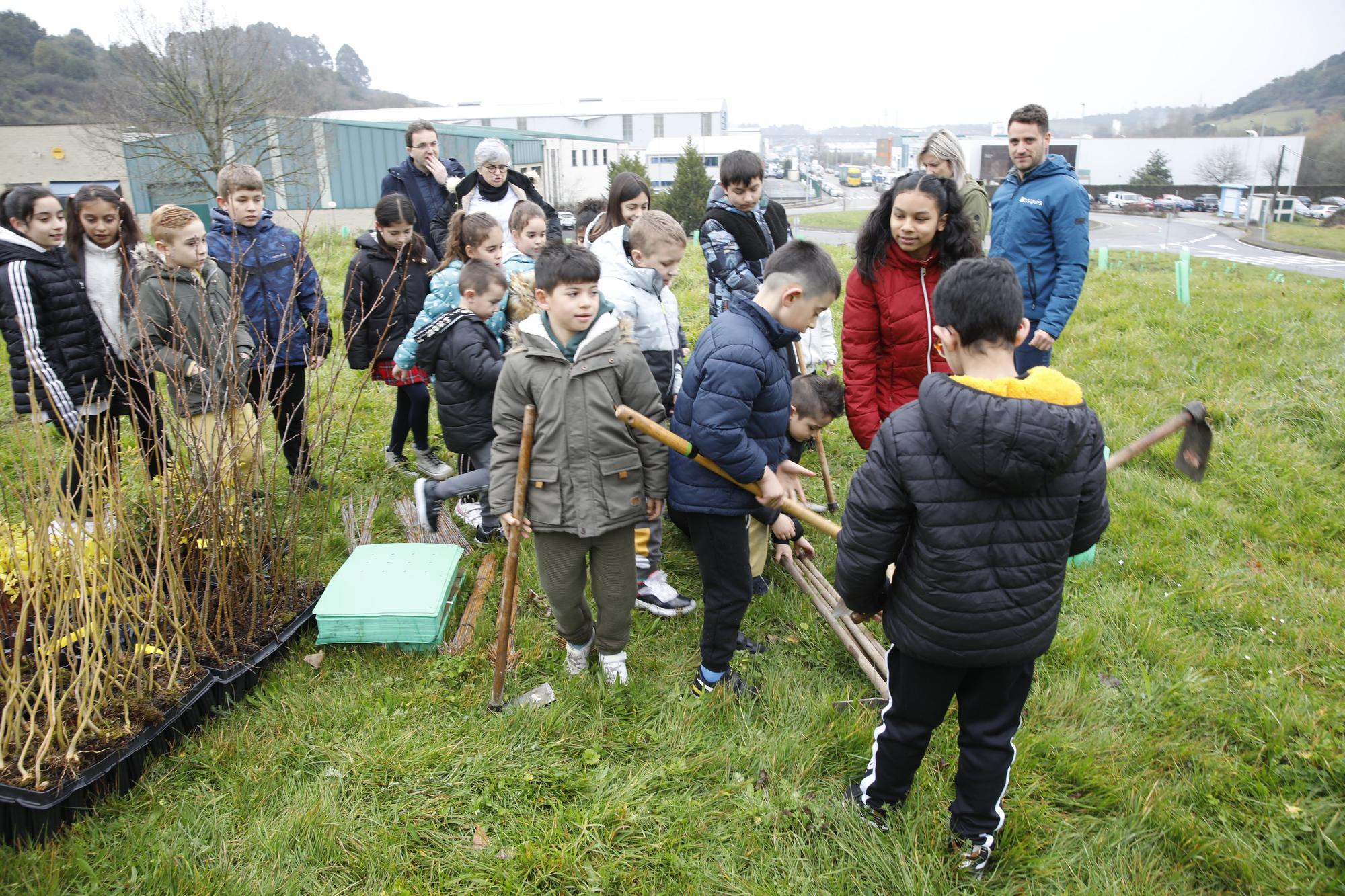 En imágenes: La alcaldesa de Gijón, en la plantación de árboles autóctonos en Somonte