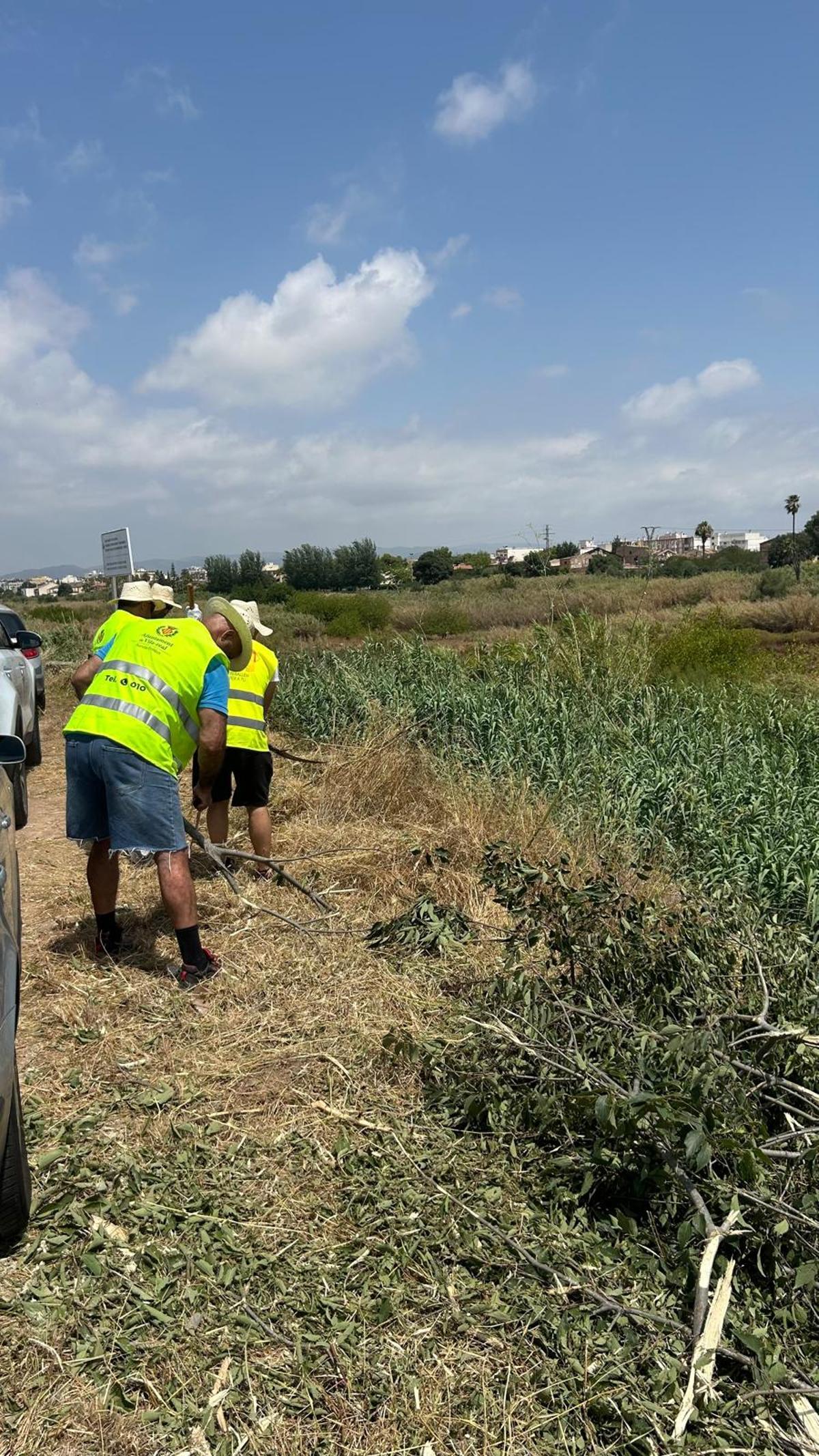 Los operarios del paro agrario contribuyen en las tareas de adecuación y limpieza de parcelas.