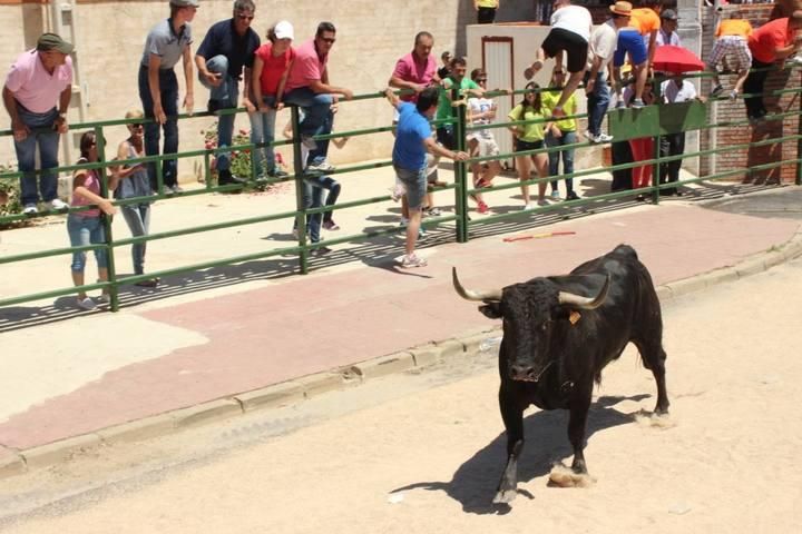 Espantes de Guarrate