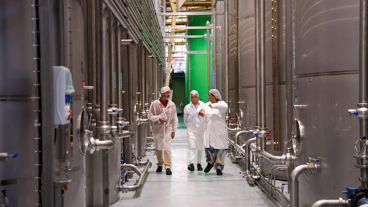 Depósitos de aceite en la planta de Deoleo en Alcolea, Córdoba.